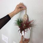 Pop & Hang – The Easy One-Nail Picture Hanging Tool